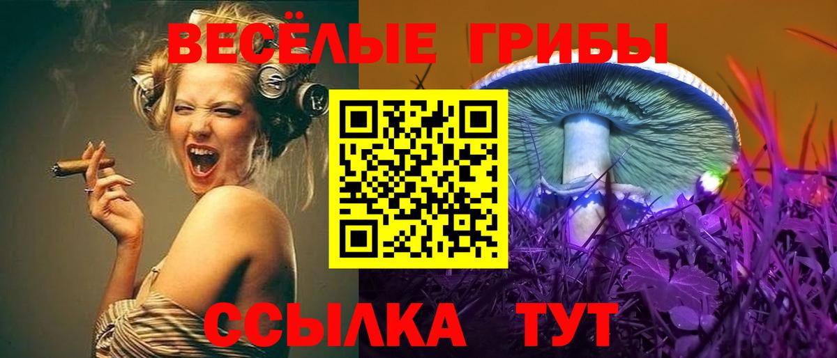 Галлюциногенные грибы Psilocybe Озёрск