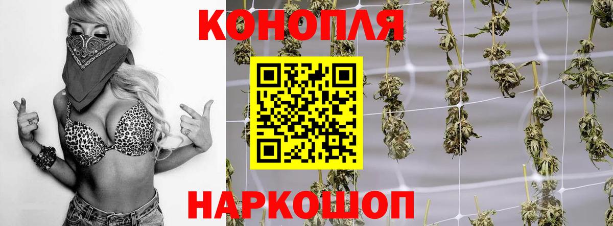 Каннабис сатива Озёрск
